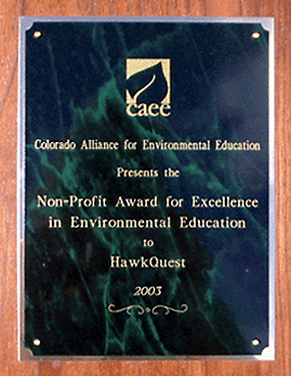 CAEE Award Plaque