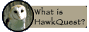 What is HawkQuest?