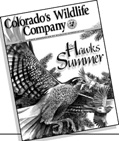 Colorados Wildlife Company